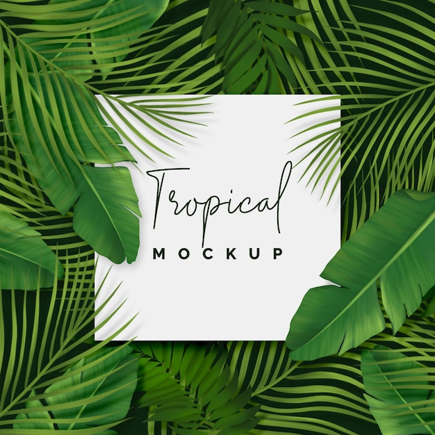 Tropical foliage background