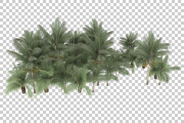 Tropical foliage on transparent background. 3d rendering - illustration