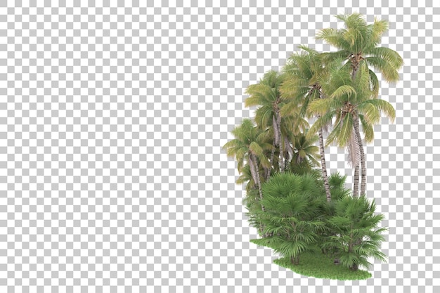 PSD Тропический лес изолирован на прозрачном фоне 3d рендеринг иллюстрации