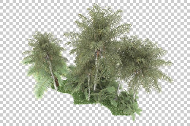 tropical forest isolated on transparent background 3d rendering illustration