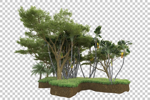 tropical forest isolated on transparent background 3d rendering illustration