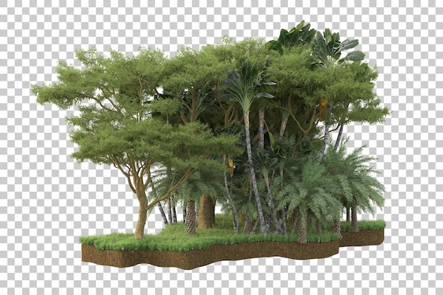 tropical forest isolated on transparent background 3d rendering illustration
