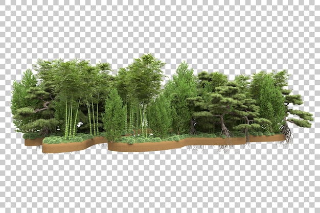 透明な背景に隔離された熱帯森林 3dレンダリングイラスト