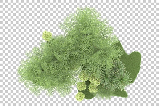 PSD foresta tropicale isolata su sfondo trasparente 3d rendering illustrazione