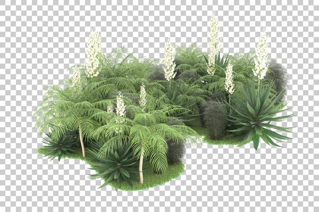 Tropical forest isolated on transparent background 3d rendering illustration