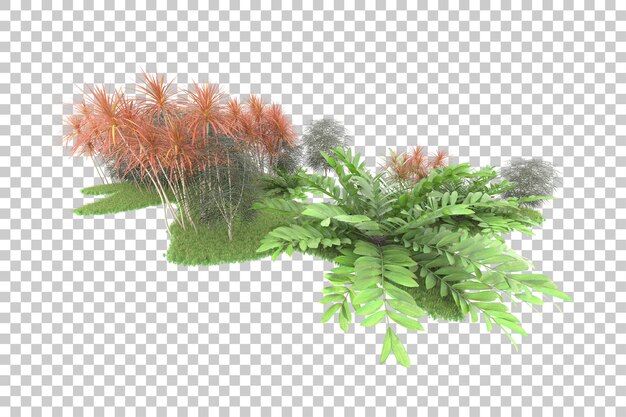 Tropical forest isolated on transparent background 3d rendering illustration