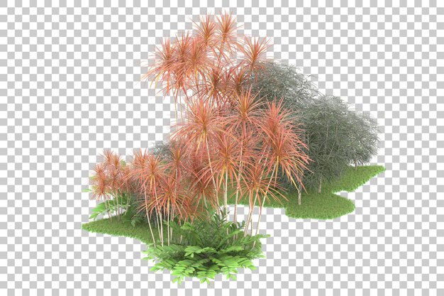 Tropical forest isolated on transparent background 3d rendering illustration