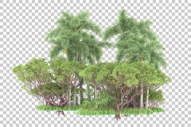 PSD foresta tropicale isolata su sfondo trasparente 3d rendering illustrazione