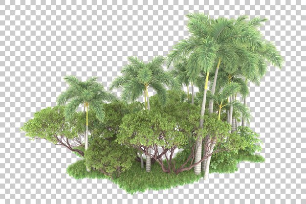 PSD tropical forest isolated on transparent background 3d rendering illustration