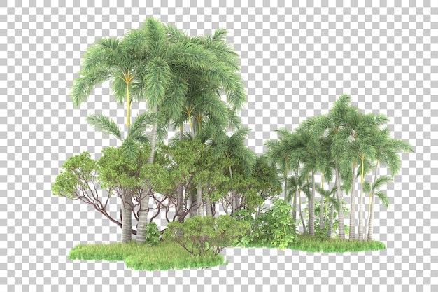 透明な背景の 3 d レンダリング図に分離された熱帯林