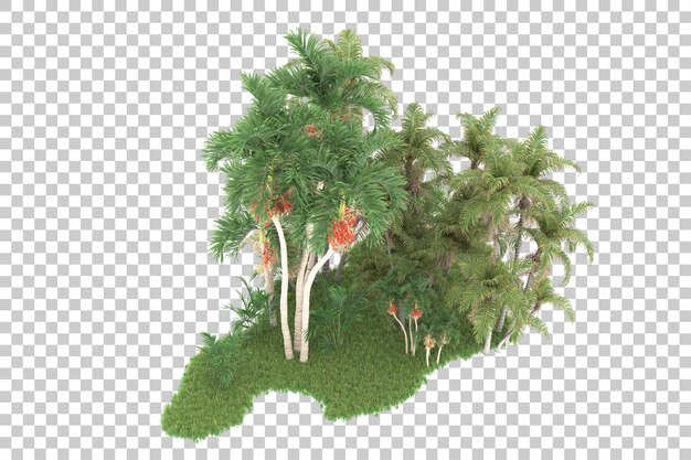 PSD tropical forest isolated on transparent background 3d rendering illustration