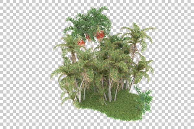 PSD tropical forest isolated on transparent background 3d rendering illustration