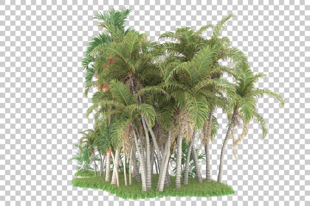 PSD tropical forest isolated on transparent background 3d rendering illustration