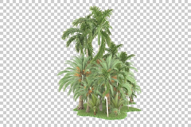 Tropical forest isolated on transparent background 3d rendering illustration