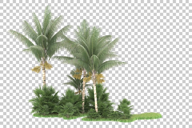 Tropical forest isolated on transparent background 3d rendering illustration