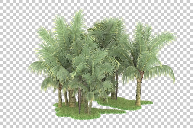 Foresta tropicale isolata su uno sfondo trasparente illustrazione di rendering 3d