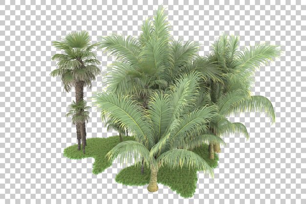 Foresta tropicale isolata su uno sfondo trasparente illustrazione di rendering 3d