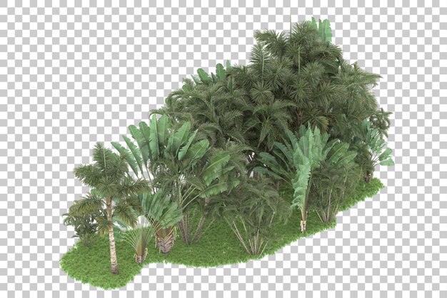 Tropical forest isolated on transparent background 3d rendering illustration