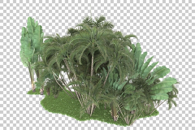透明な背景に隔離された熱帯森林 3Dレンダリングイラスト