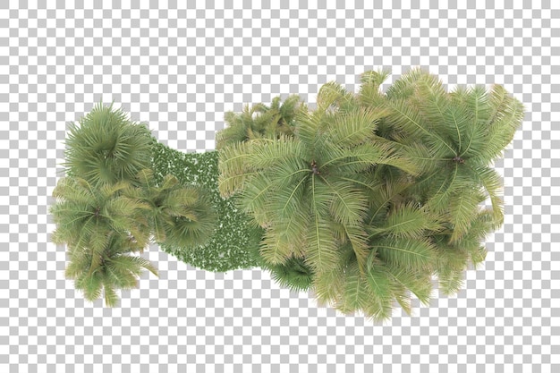 Tropical forest isolated on transparent background 3d rendering illustration