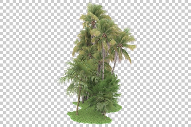 Tropical forest isolated on transparent background 3d rendering illustration