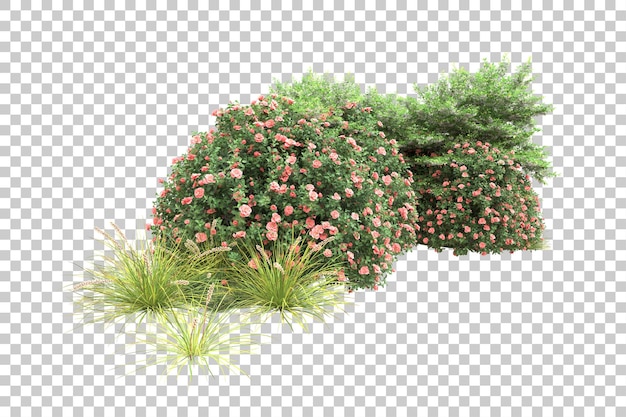 PSD tropical forest isolated on transparent background 3d rendering illustration