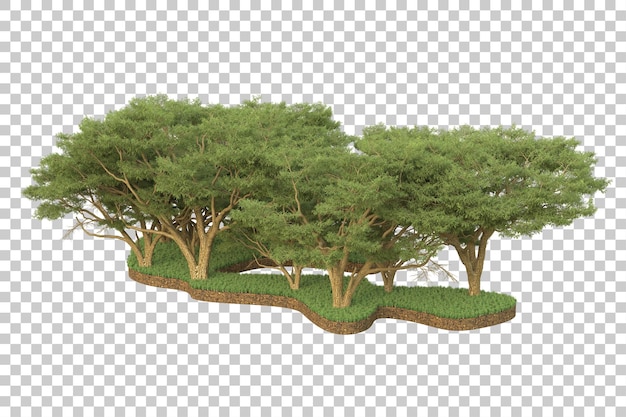 PSD foresta tropicale isolata su sfondo trasparente 3d rendering illustrazione