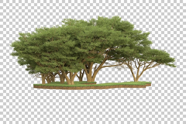 PSD foresta tropicale isolata su sfondo trasparente 3d rendering illustrazione