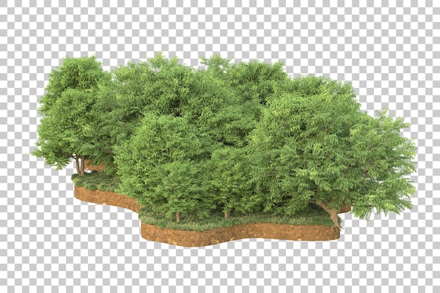 tropical forest isolated on transparent background 3d rendering illustration