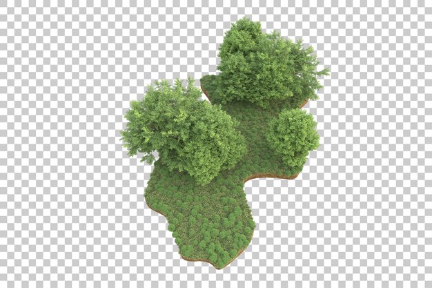 tropical forest isolated on transparent background 3d rendering illustration