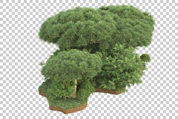 tropical forest isolated on transparent background 3d rendering illustration