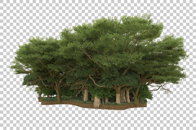 在透明的背景上孤立的热带森林 3D 渲染插图