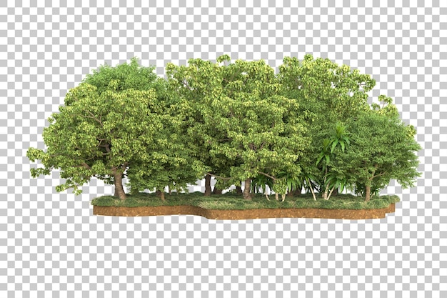 ป่าเขตร้อนแยกต่างหากบนพื้นหลังโปร่งใส ภาพประกอบการเรนเดอร์ 3 มิติ