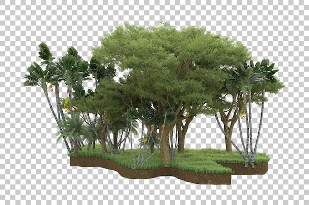 PSD tropical forest isolated on transparent background 3d rendering illustration