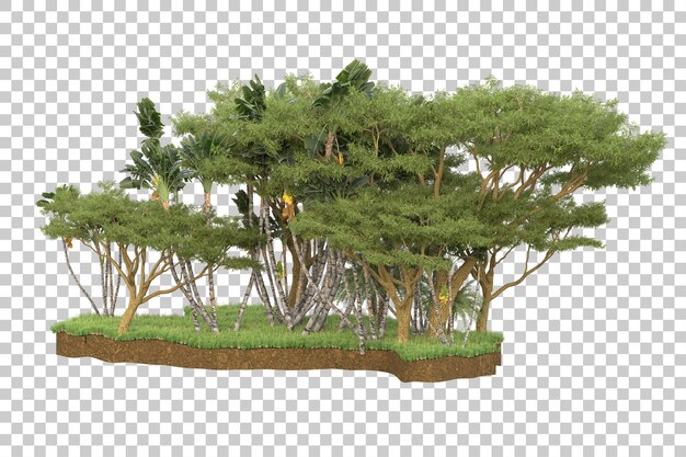 PSD tropical forest isolated on transparent background 3d rendering illustration