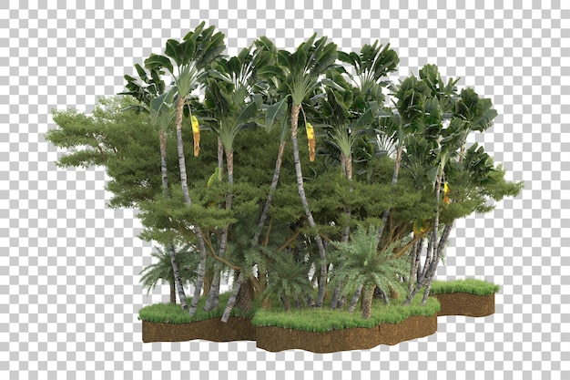 Foresta tropicale isolata su sfondo trasparente 3d rendering illustrazione