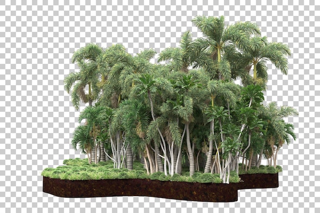 Foresta tropicale isolata su sfondo trasparente 3d rendering illustrazione