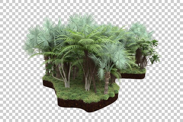 Tropical forest isolated on transparent background 3d rendering illustration