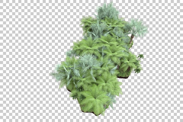Foresta tropicale isolata su sfondo trasparente 3d rendering illustrazione