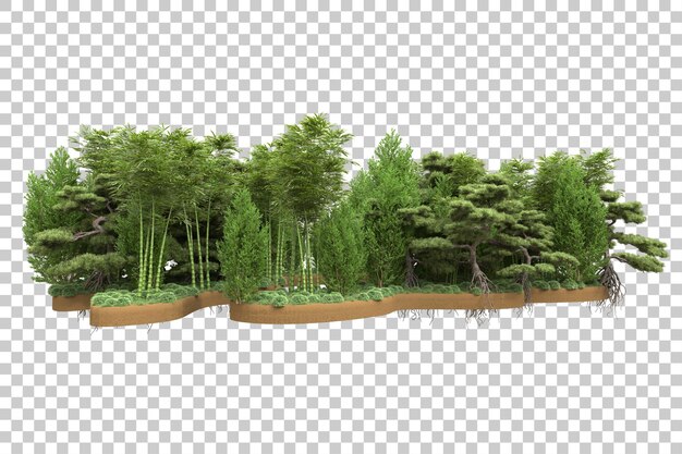 Foresta tropicale isolata su uno sfondo trasparente illustrazione di rendering 3d