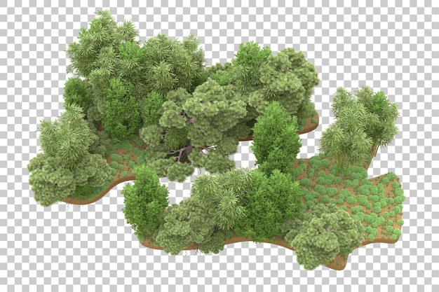 PSD tropical forest isolated on transparent background 3d rendering illustration