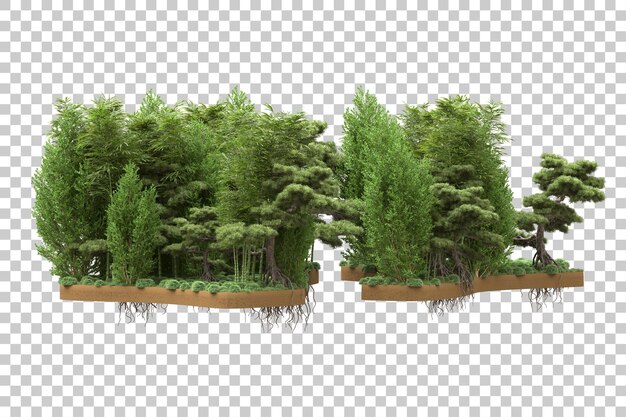 PSD tropical forest isolated on transparent background 3d rendering illustration