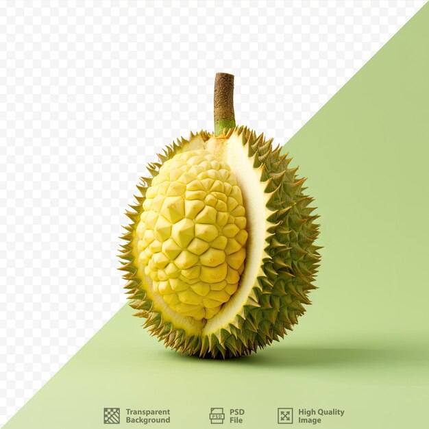 PSD tropical fruit thai name king of fruits transparent background