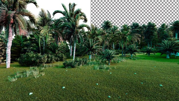 PSD tropical garden png transparent backdrop 3d rendering