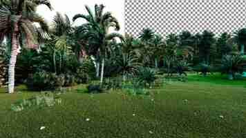 PSD giardino tropicale png sfondo trasparente rendering 3d
