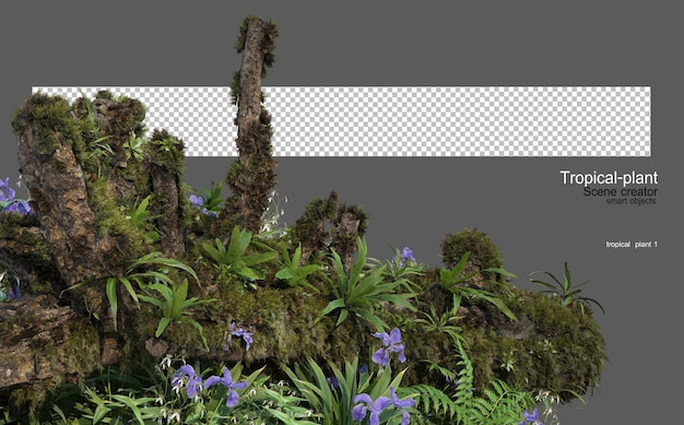 PSD tropical garden with decorative stones and stumps