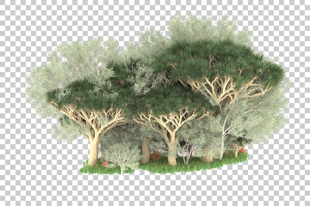 PSD isola tropicale isolata su sfondo trasparente 3d rendering illustrazione