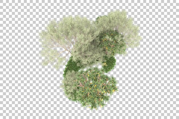 PSD isola tropicale isolata su sfondo trasparente 3d rendering illustrazione
