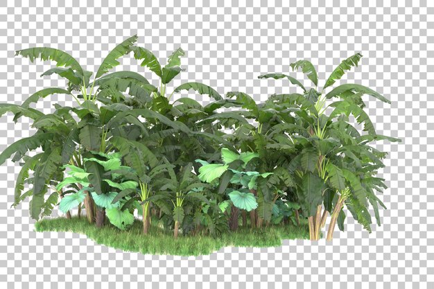 Tropical island isolated on transparent background 3d rendering illustration