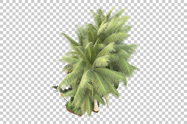 tropical island isolated on transparent background 3d rendering illustration
